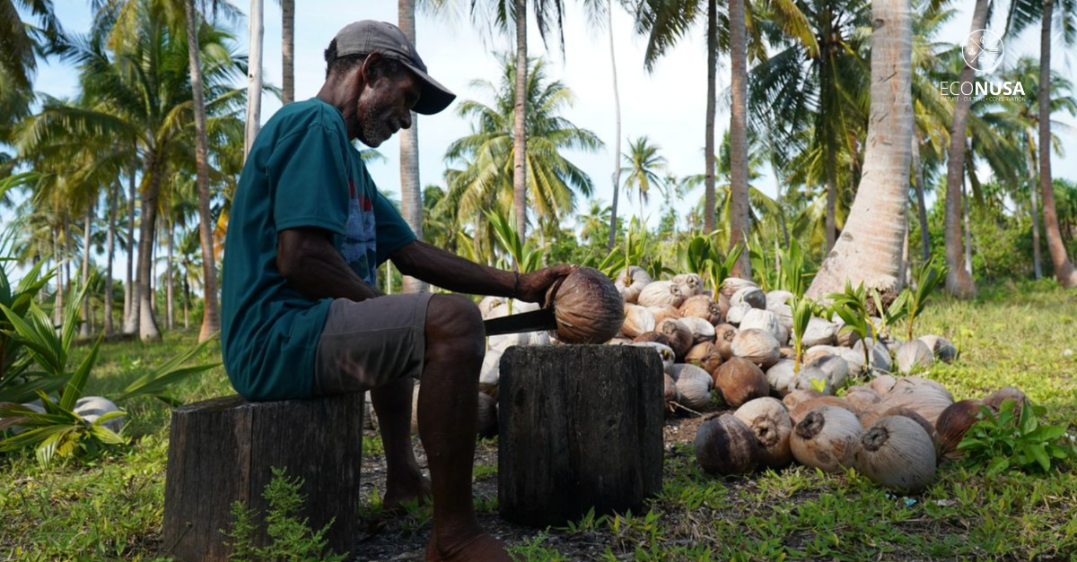 Local coconut farmer preparing coconuts