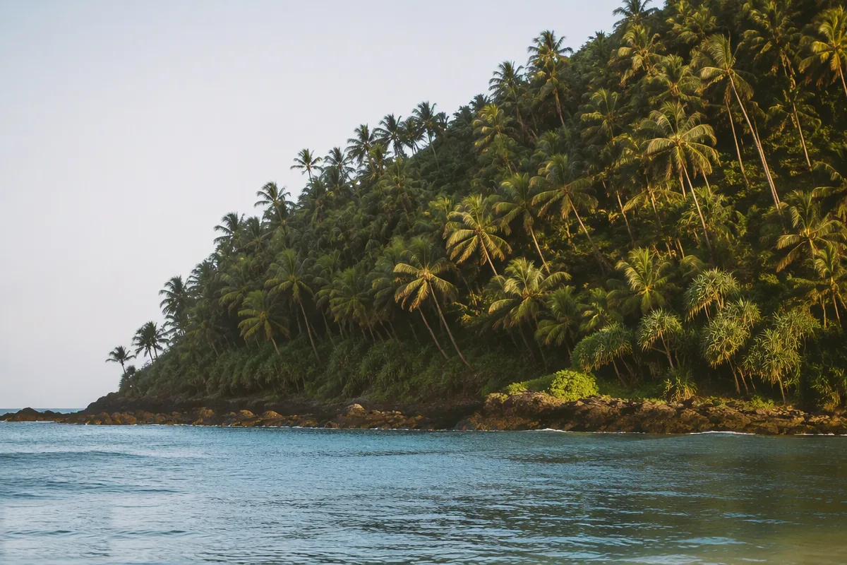 Illustrative image (placeholder): a hillside of coconut palms above a calm sea at morning
