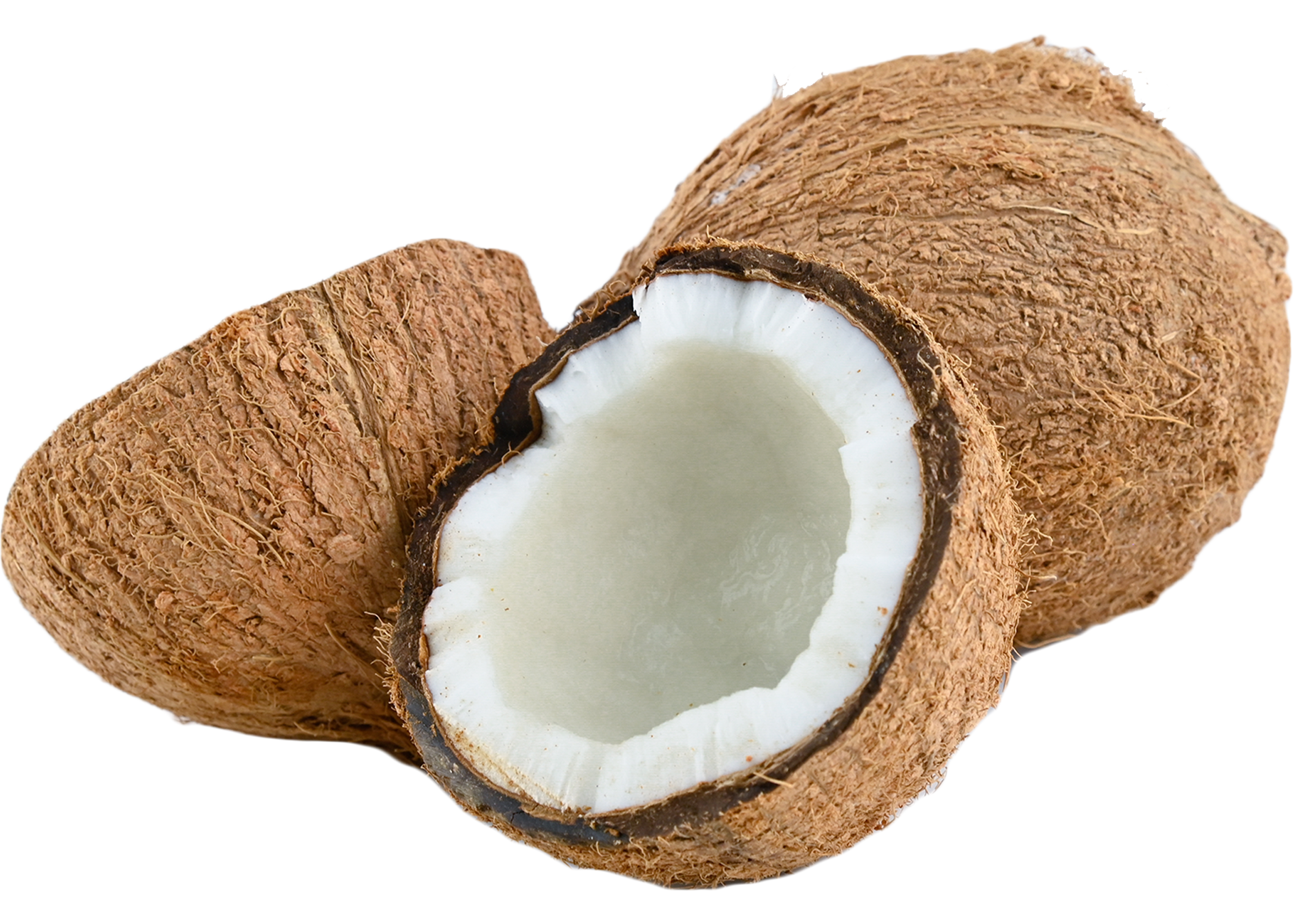 Dried coconut copra product